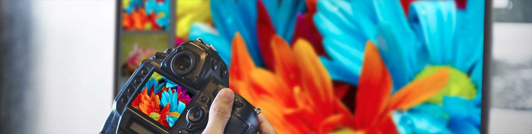 Color-Accuracy