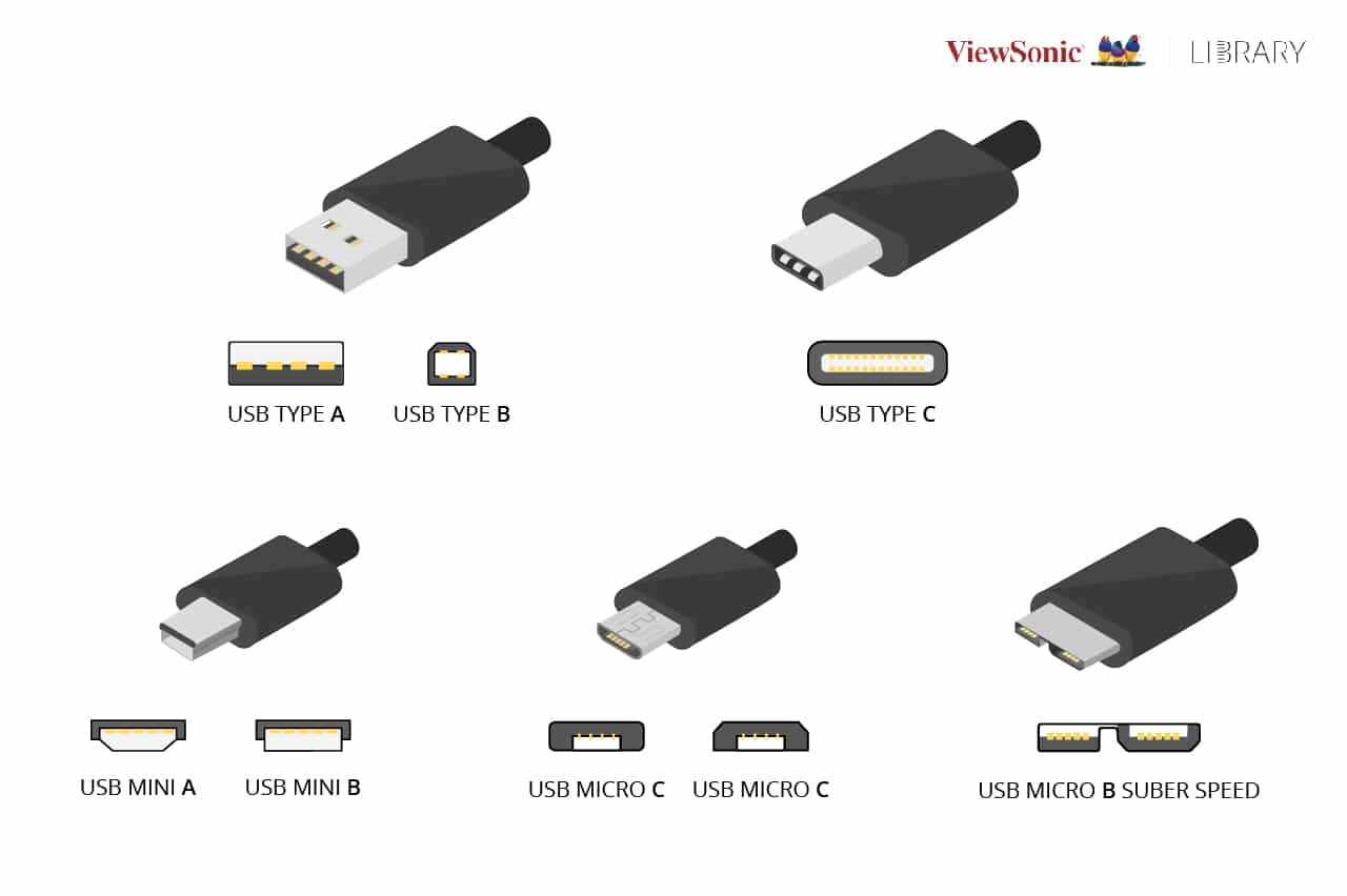 Indbildsk Dusør umoral USB-C, USB-B, and USB-A: What's the Difference? - ViewSonic Library