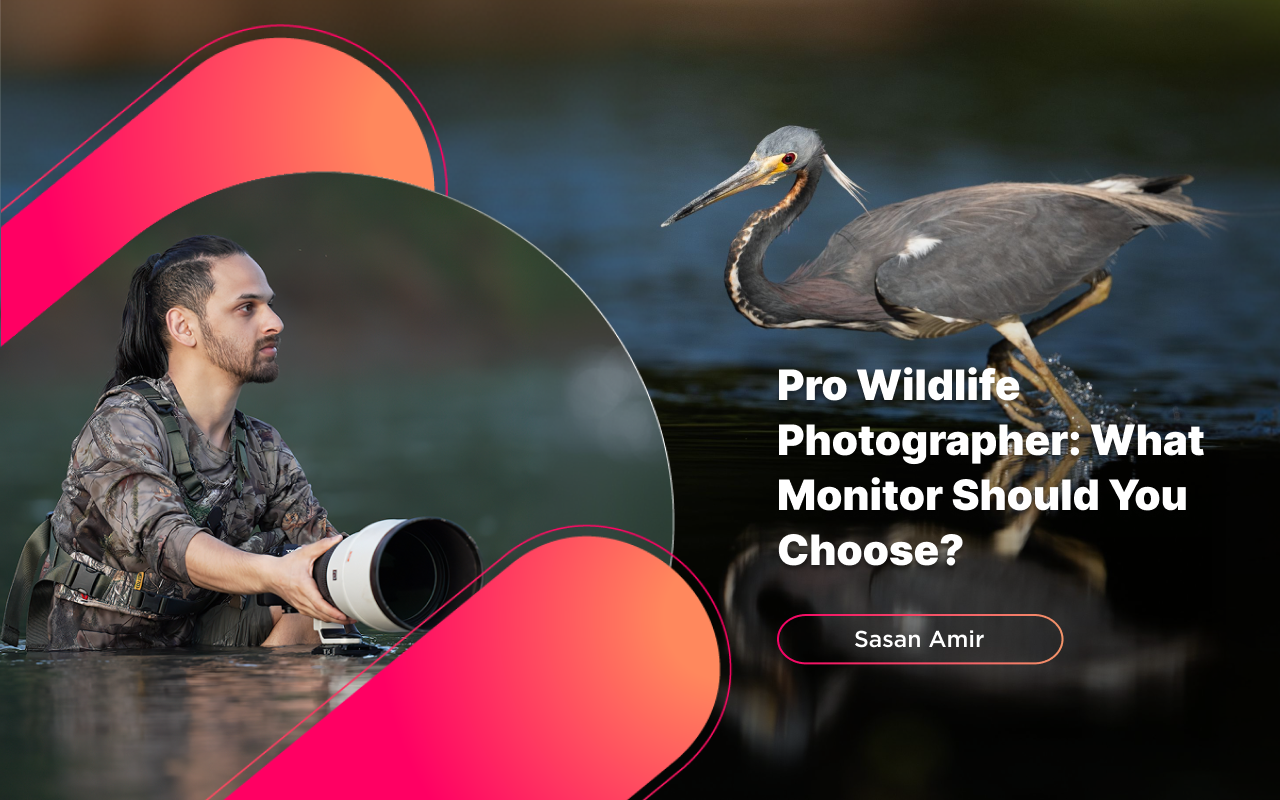 Colorpro Guest Blogger Template