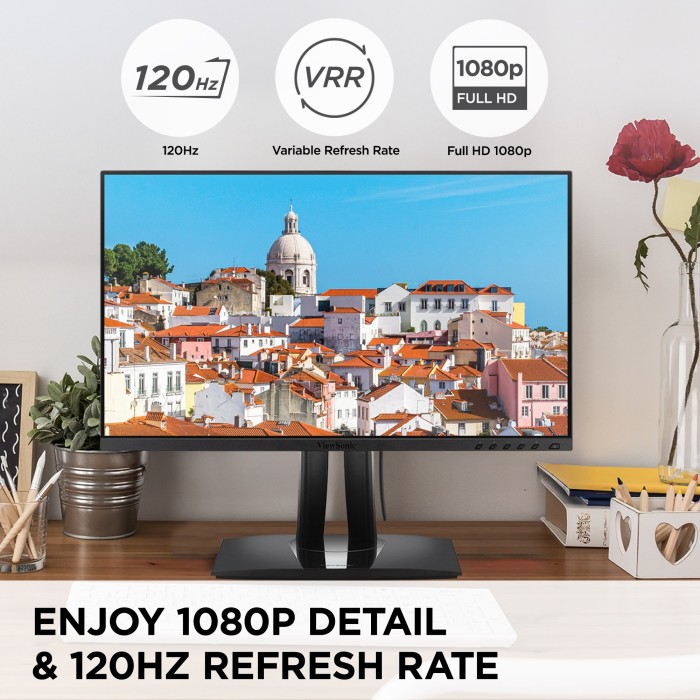 ViewSonic VP2456A