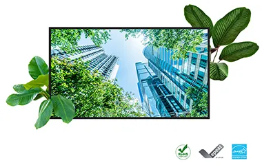 a monitor shown next to plants