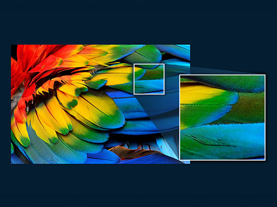 a close up of a high resolution display showing visual clarity