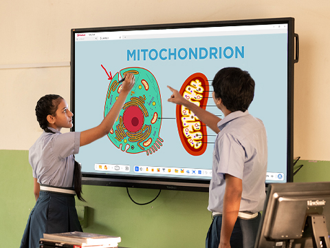 students collaborate using the ViewBoard's touch screen