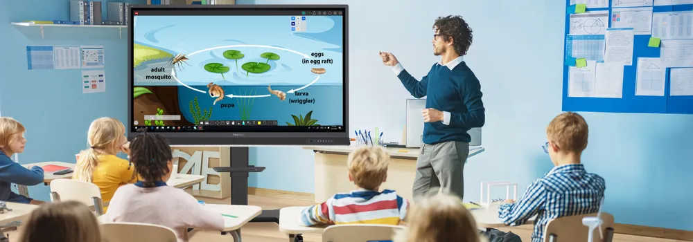 Teacher teaching in front of a ViewBoard display
