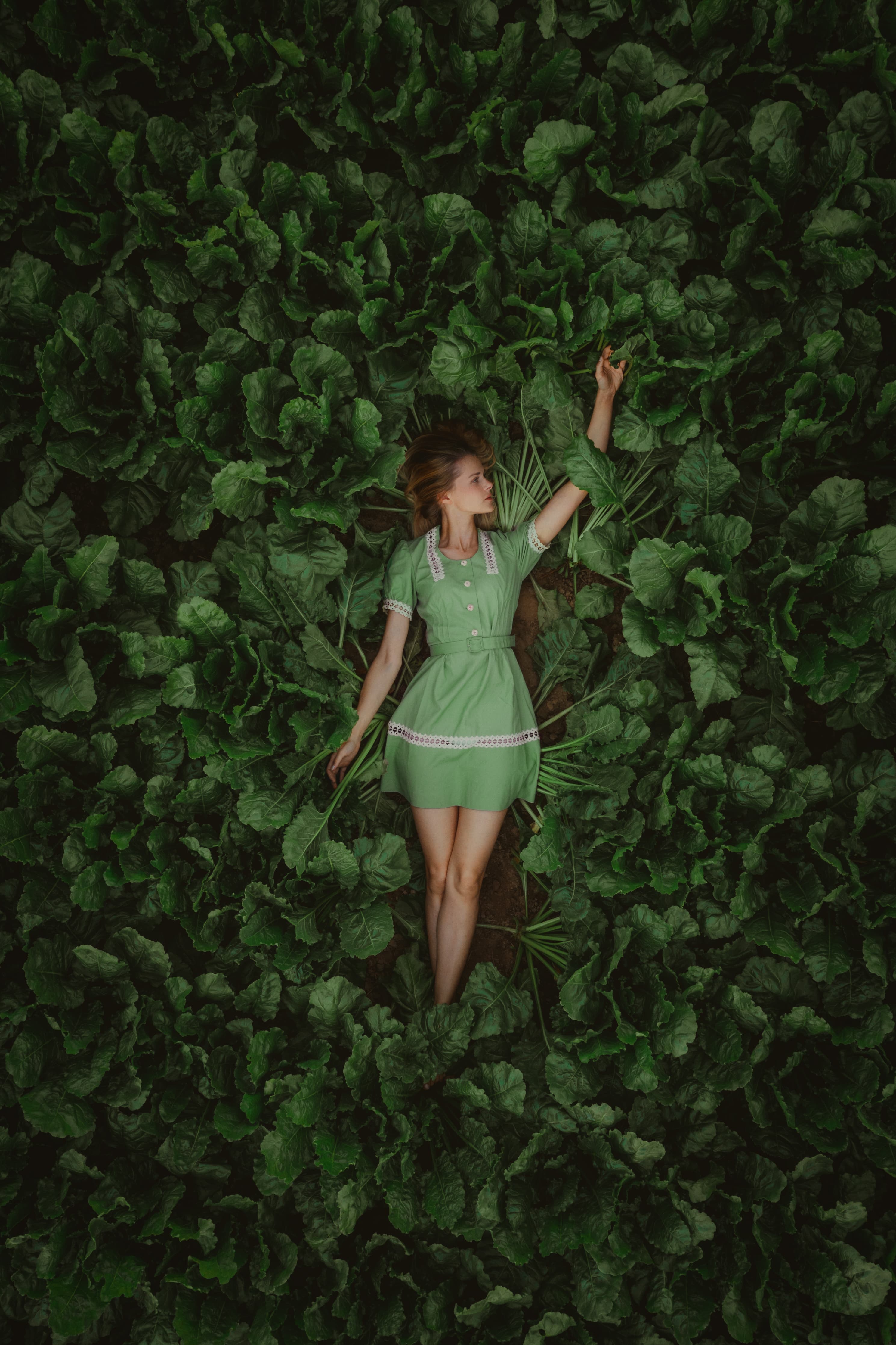 Rise by Jonas Hafner