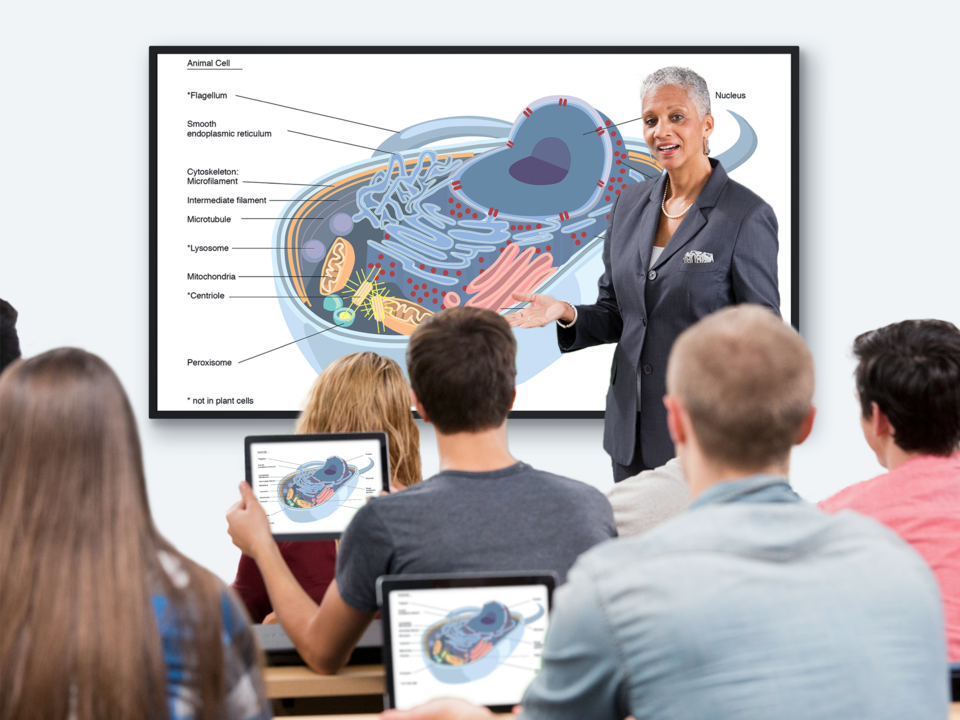 Wireless Content Sharing​ 1