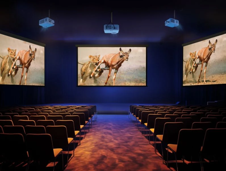 Viewsonic LSD500HD Laser Projector Banquet Hall