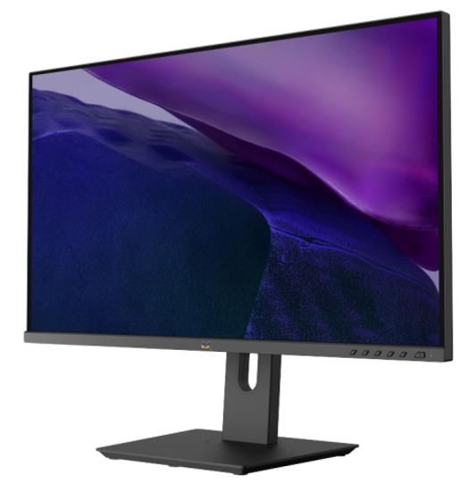 ViewSonic LCD Display VG2481-4K