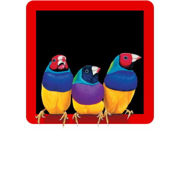 ViewSonic Prezentációs szoftver ViewSplit