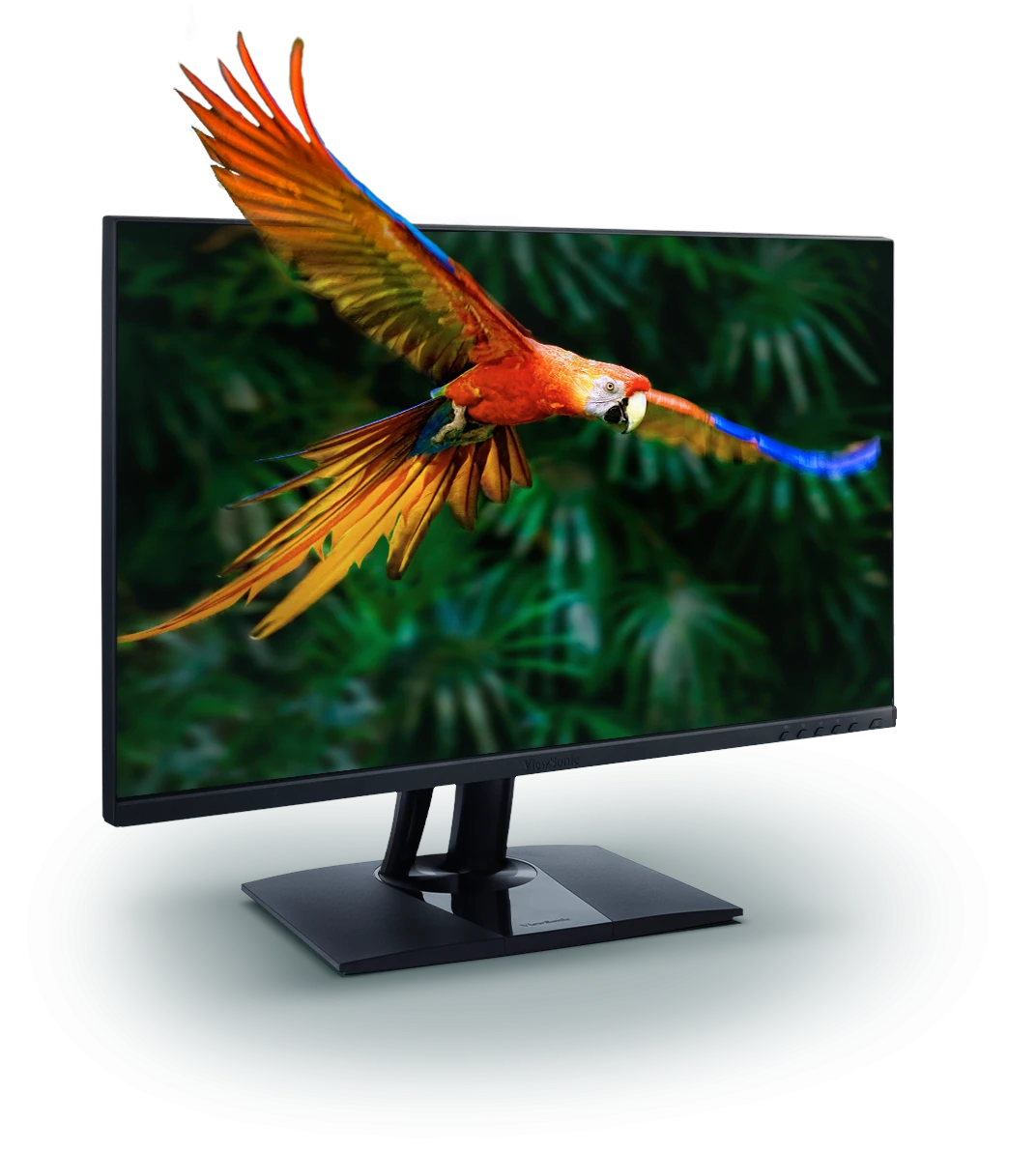 VP2456A 24