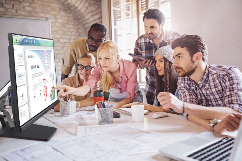 ViewSonic Display LCD TD2455