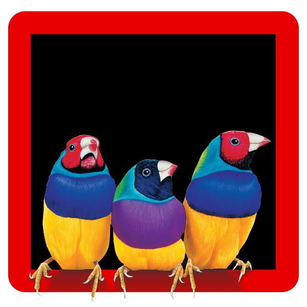 뷰소닉 프레젠테이션 소프트웨어 ViewSplit