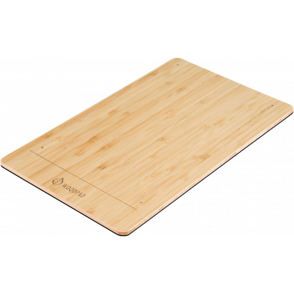 뷰소닉 펜 디스플레이 PF1030