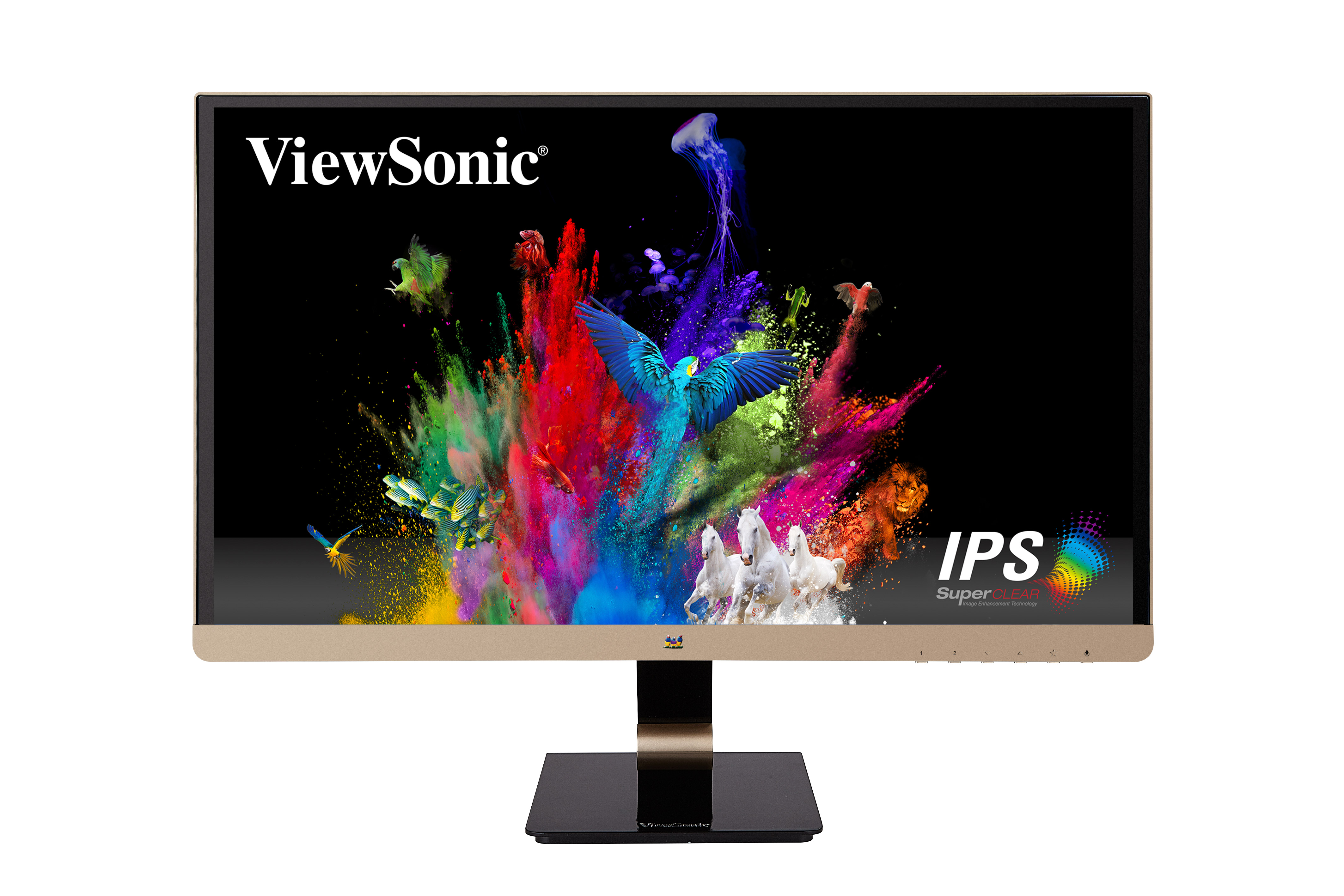 VX2573-sg