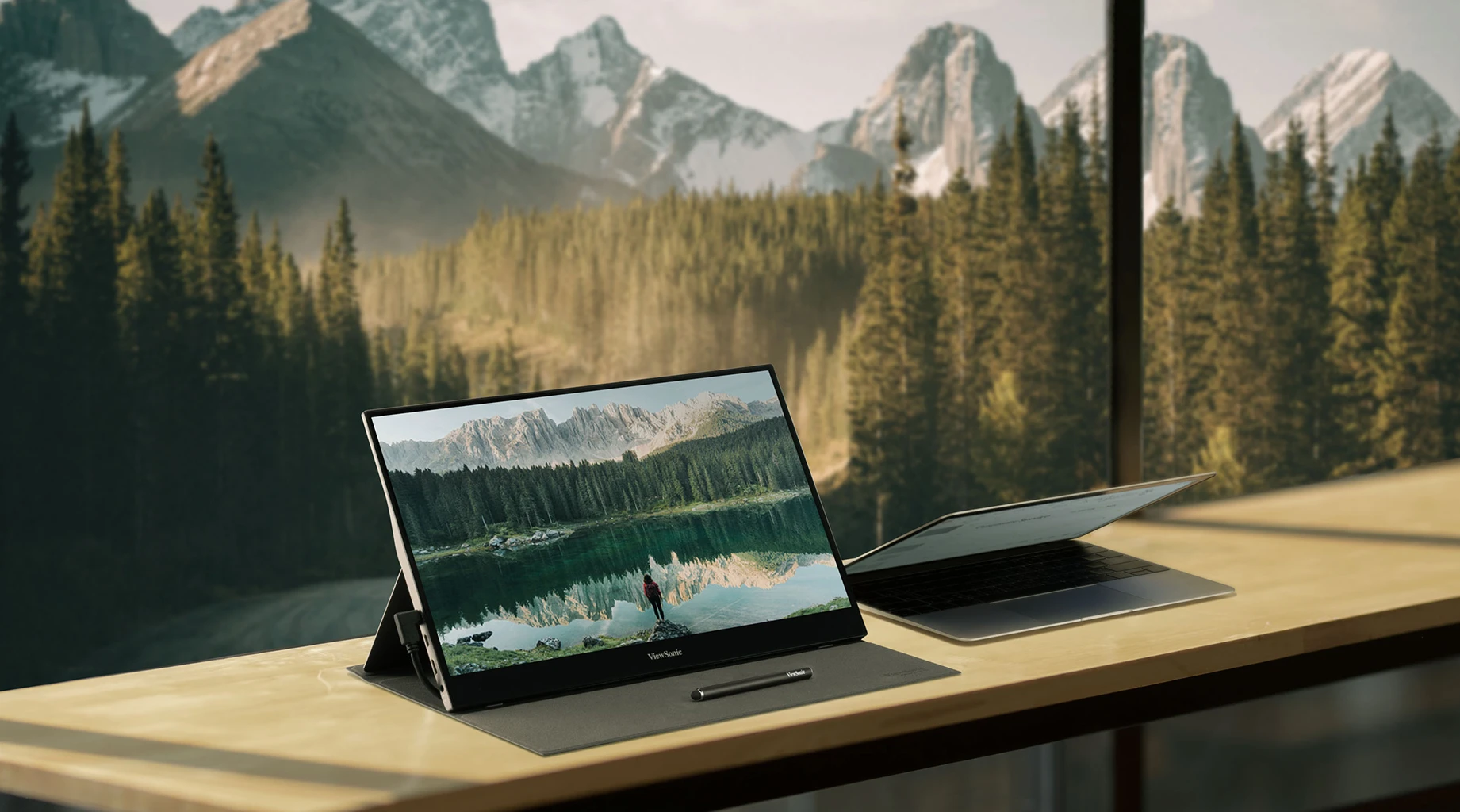 Portable Monitor