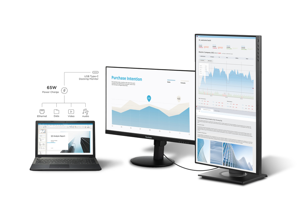Integrated Docking Station with Daisy Chain 1