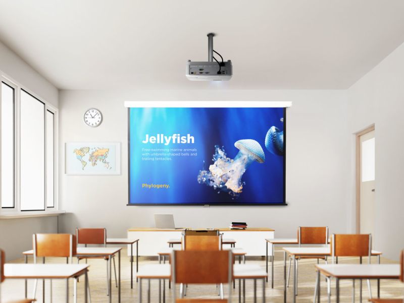 ViewSonic Proiector PA504W