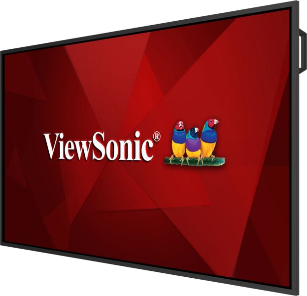 ViewSonic Kurumsal Ekranlar CDE65G3-1C