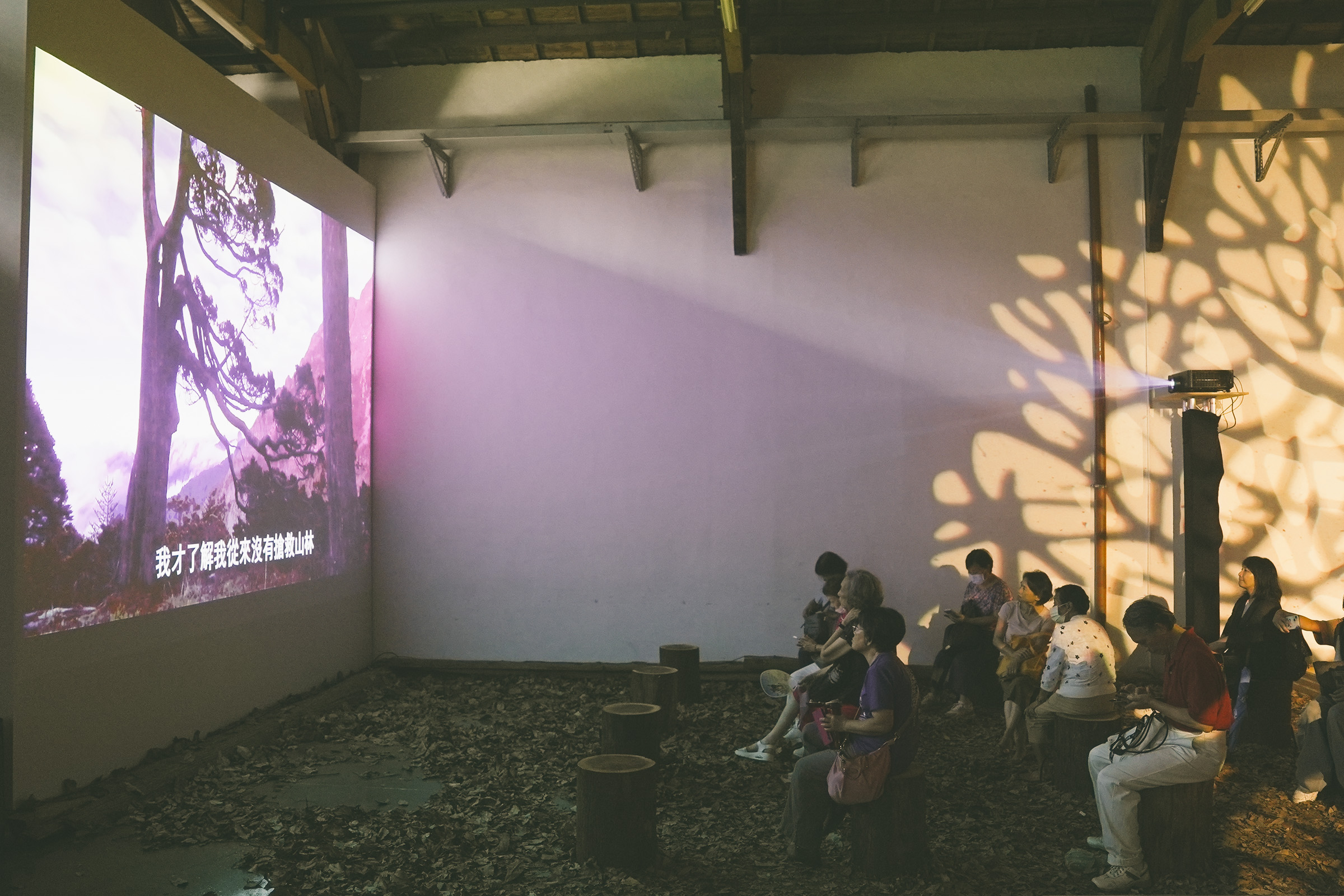 ViewSonic投影機於「穿霧之境」展區中清晰呈現臺灣山林紀錄片影像,為觀眾打造沉浸式觀影體驗。